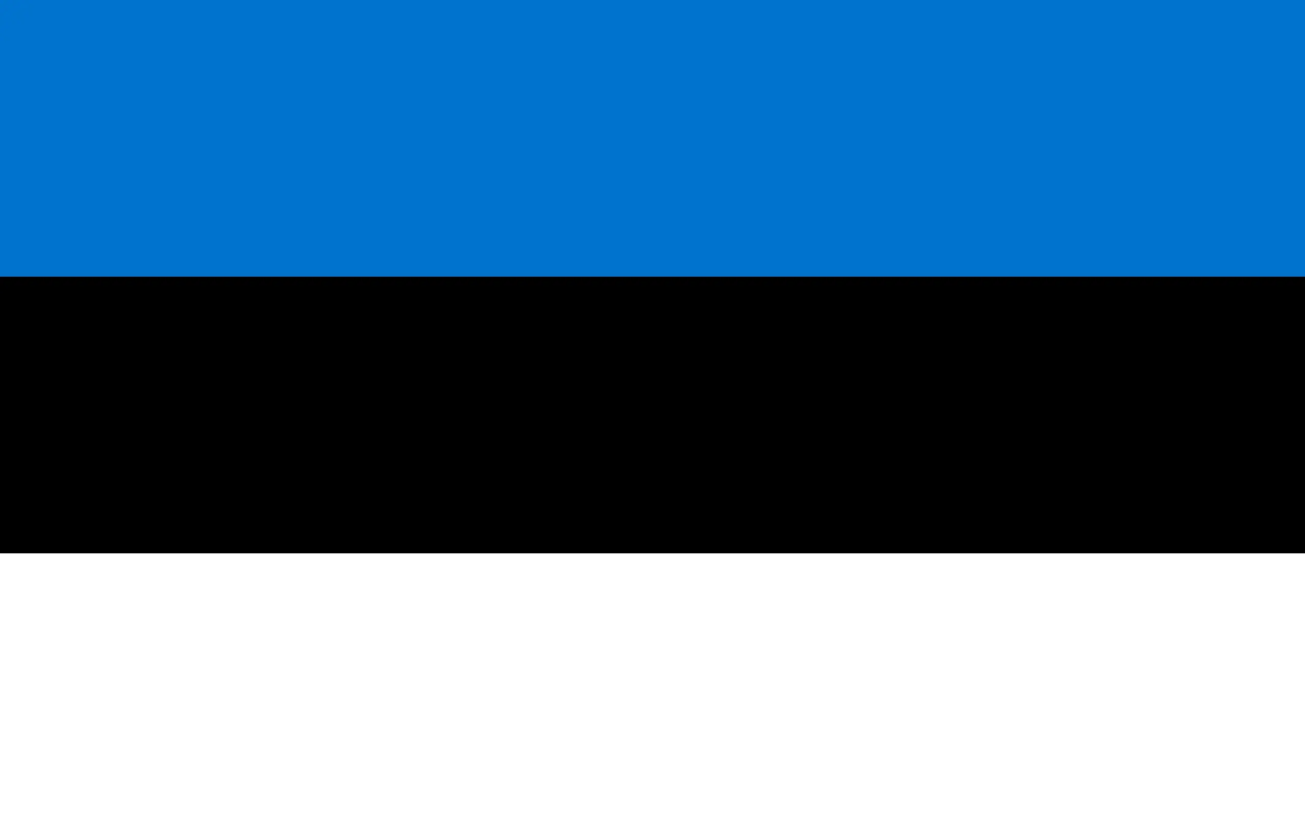 Drapeau Estonie brodé - Écusson drapeau Estonie Made in France