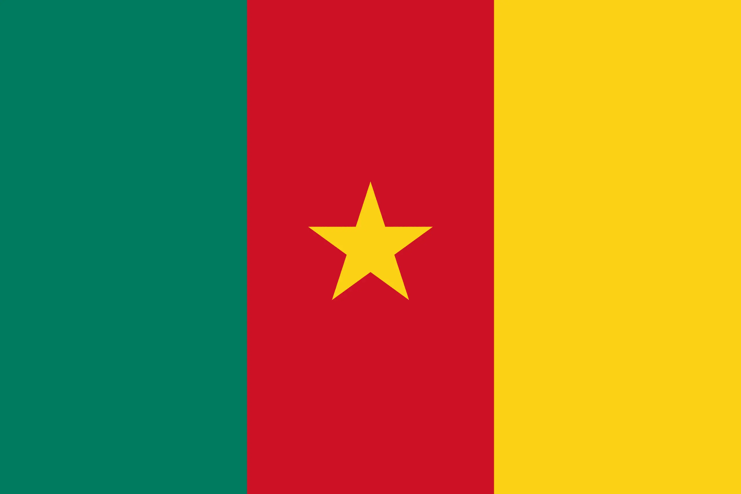 Drapeau Cameroun brodé - Écusson drapeau Cameroun Made in France