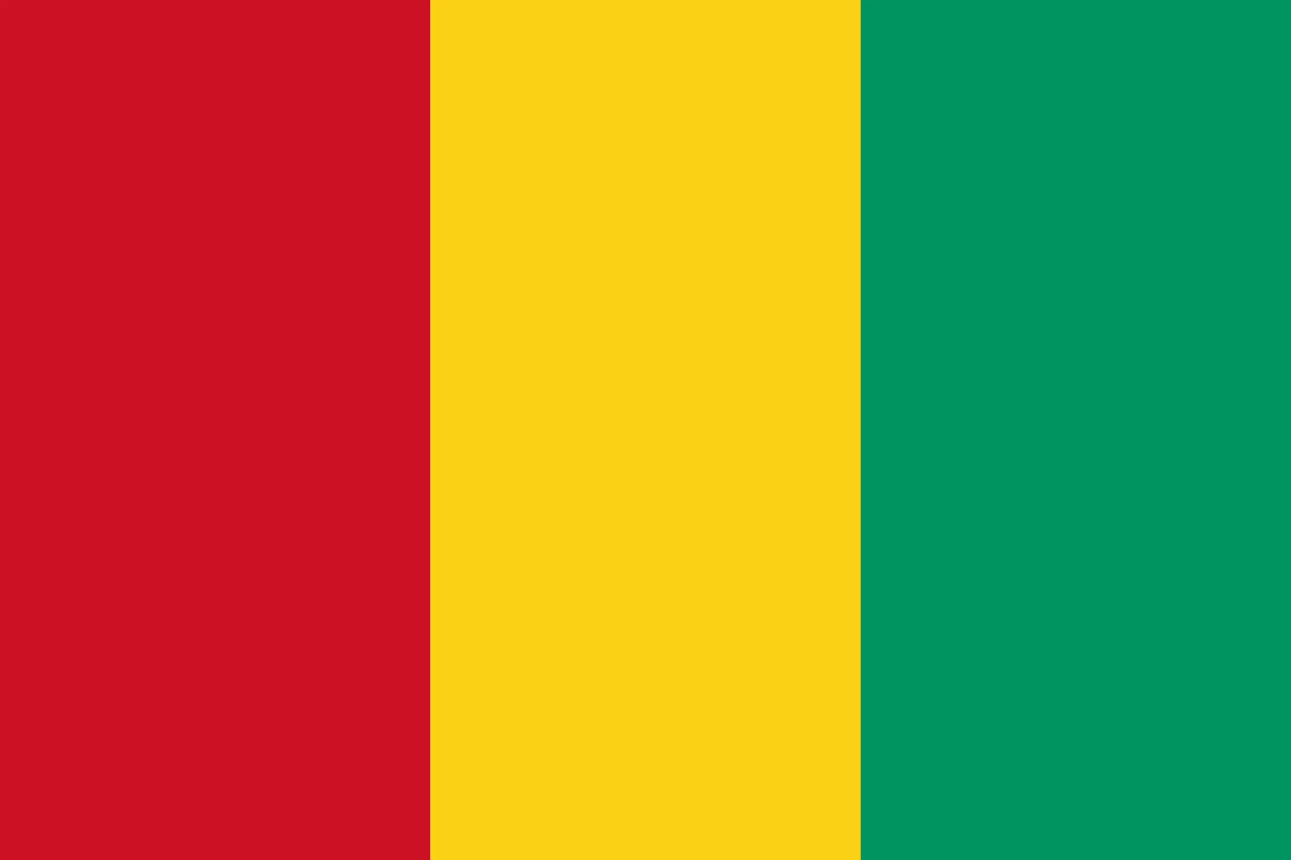 Drapeau Guinée brodé - Écusson drapeau Guinée Made in France