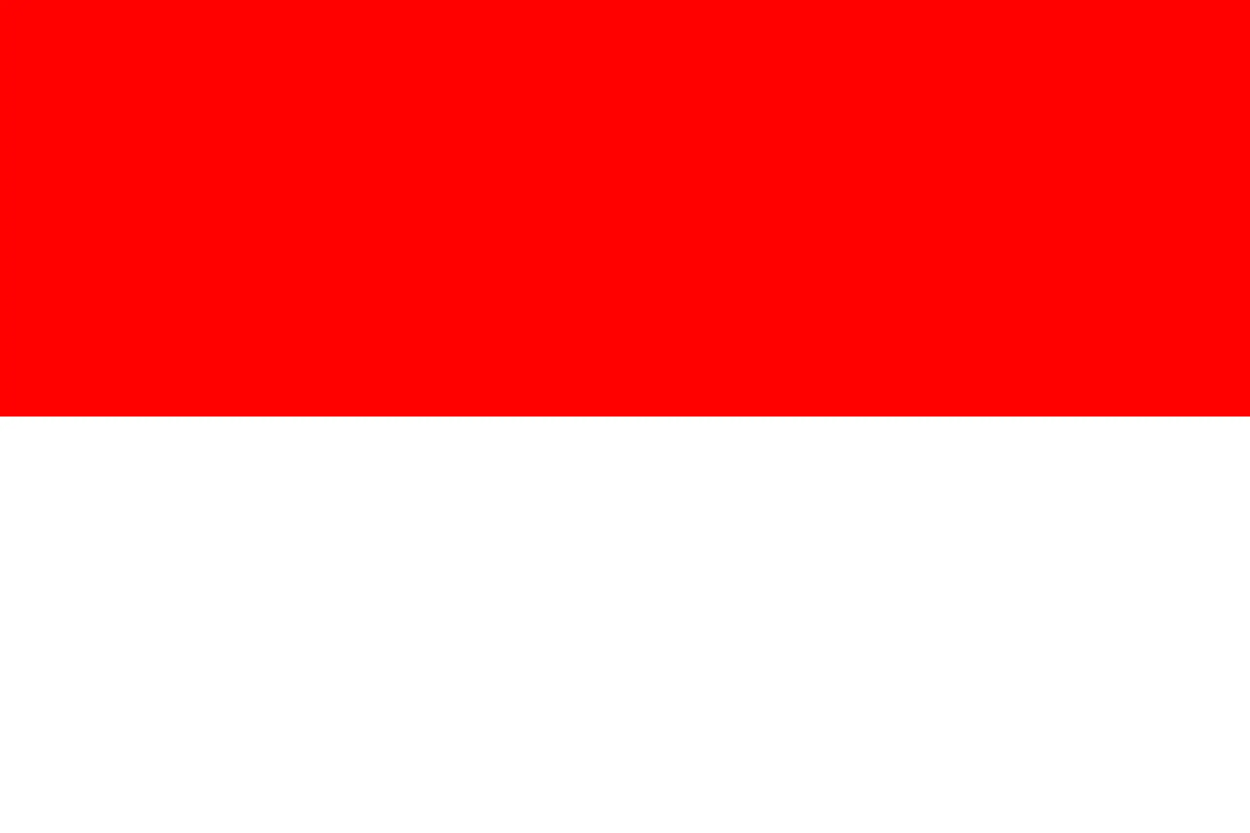 Drapeau Indonésie brodé - Écusson drapeau Indonésie Made in France