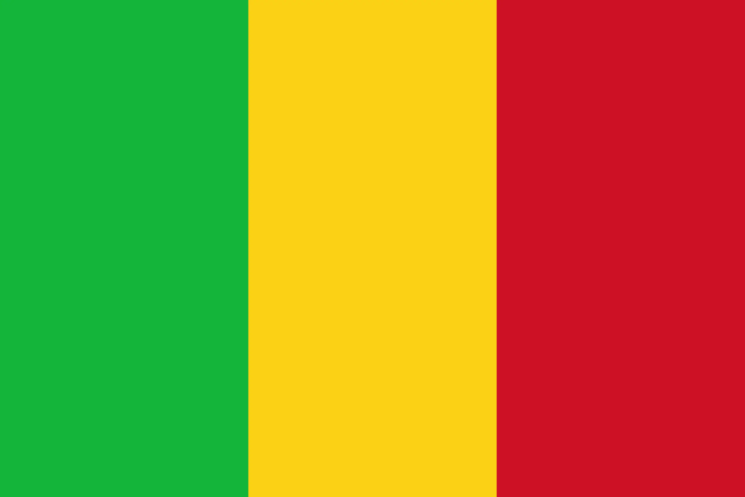 Drapeau Mali brodé - Écusson drapeau Mali Made in France